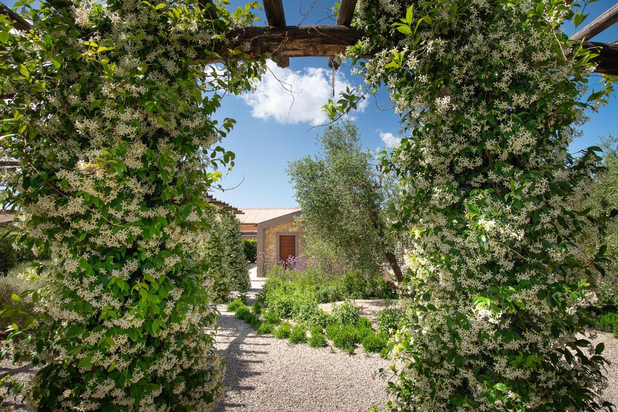 Agriturismo Resort Il Foionco Massa Marittima Dış mekan fotoğraf